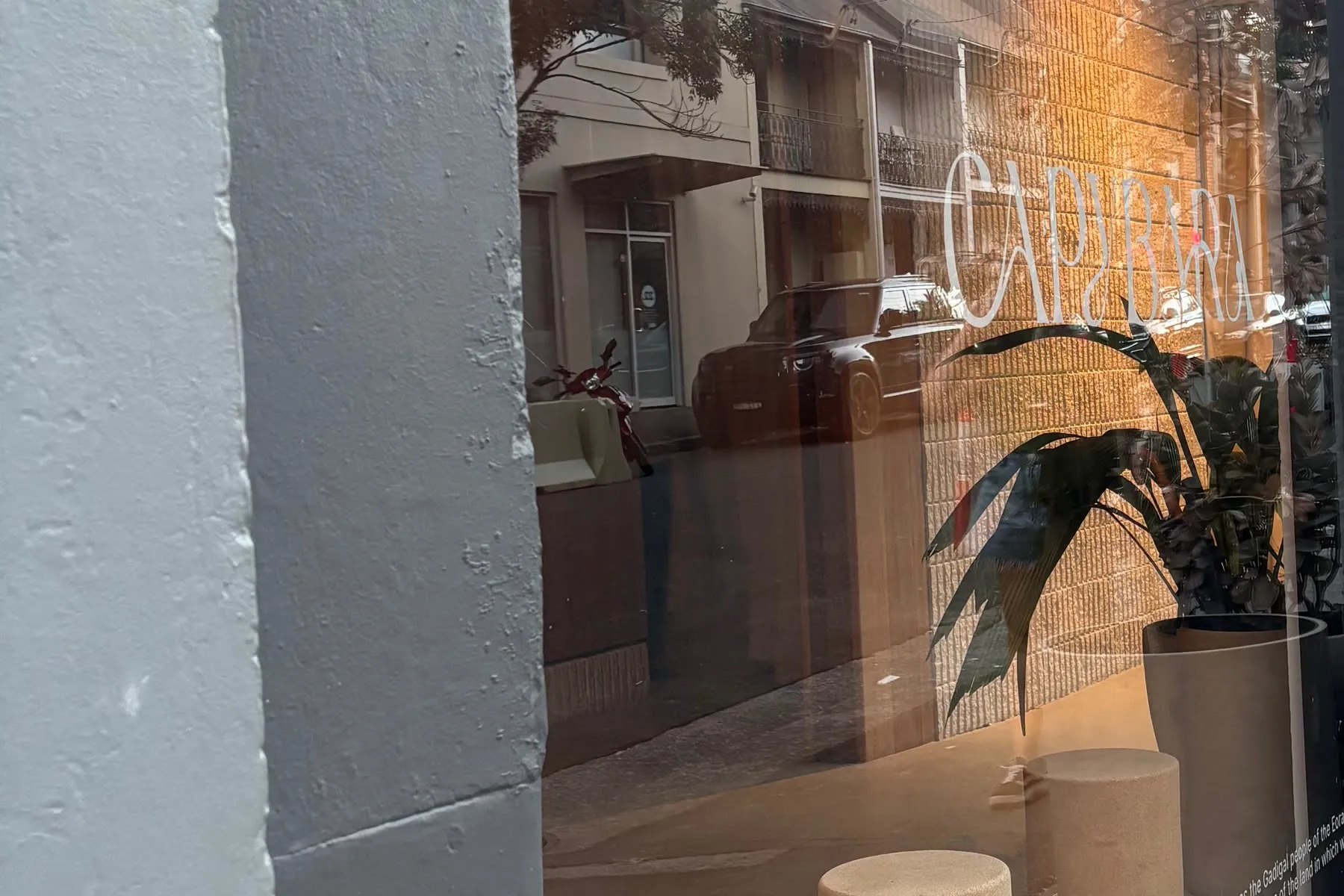 Fachada de vidro da Capybara em Surry Hills, Sydney
